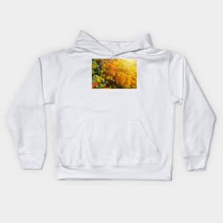 Aerial view of color autumn forest and sunset Kids Hoodie